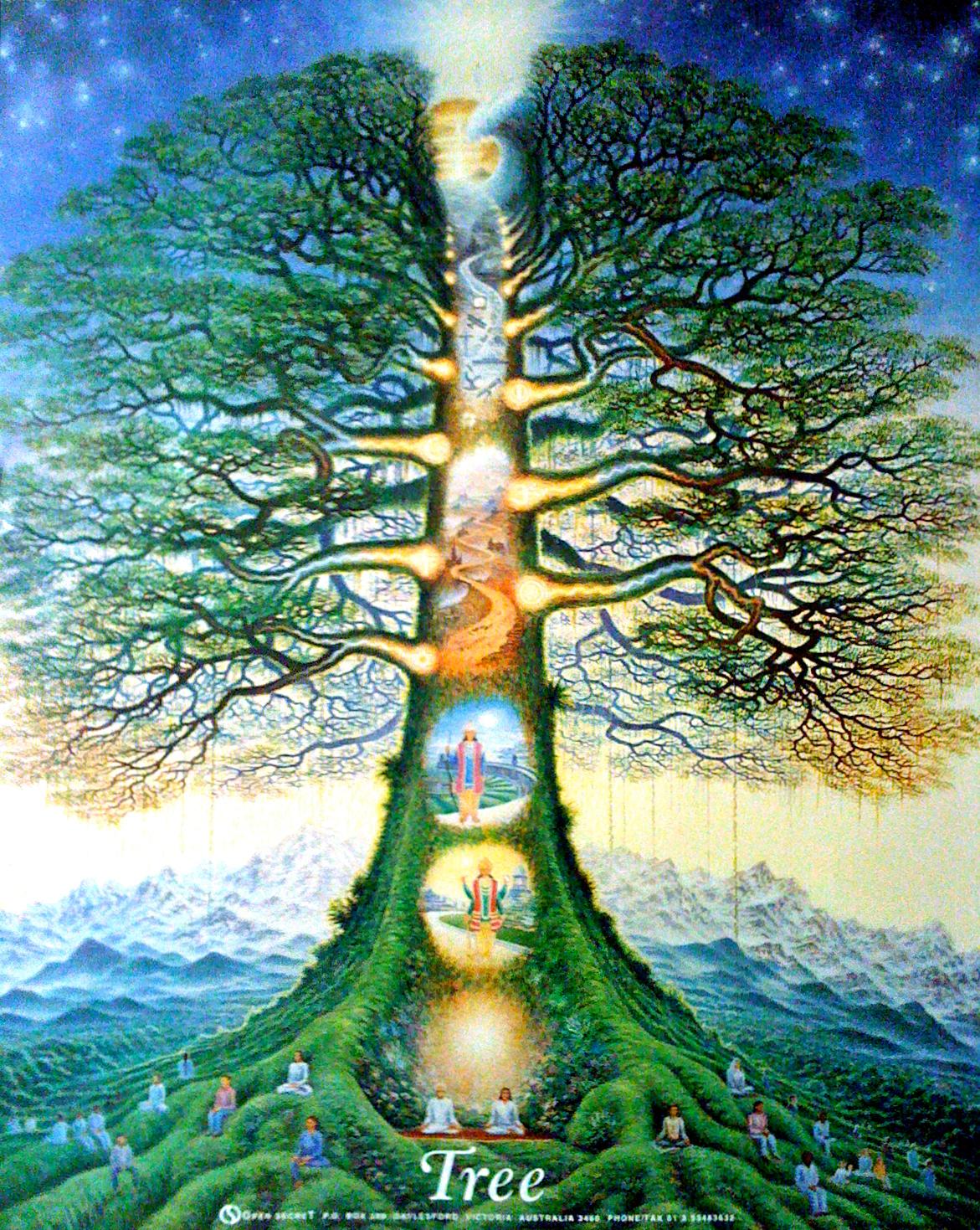 What Is The Tree Of Life Story at Megan Palacios blog